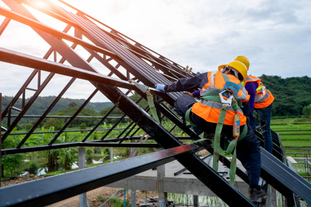Best Metal Roofing Contractor  in Fmington, AR